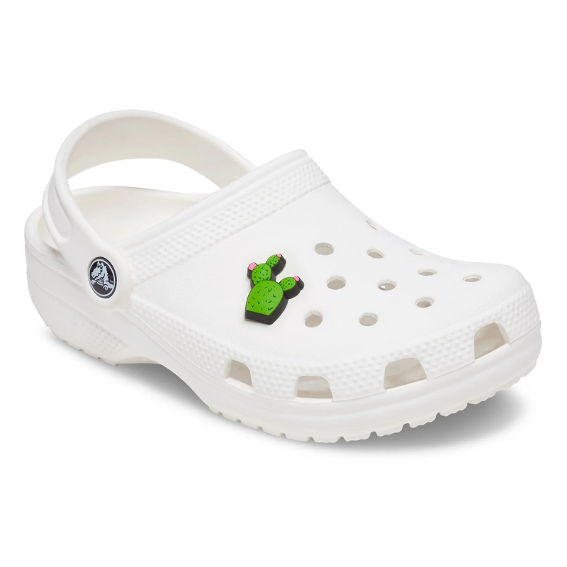 Crocs Jibbitz Cactus with Flowers-1