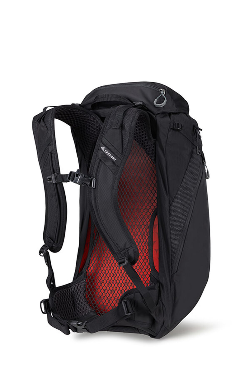 Gregory Arrio 24L Backpack in Flame black-1