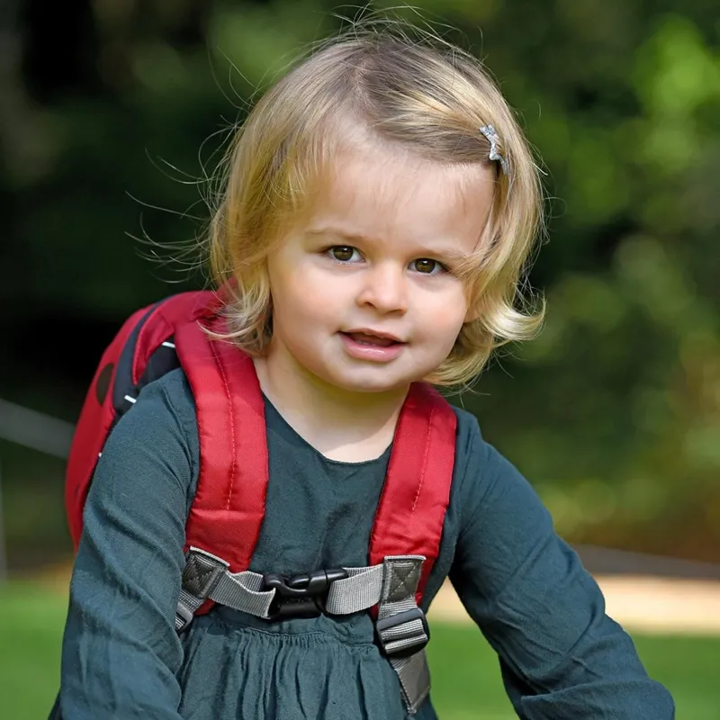 LittleLife Toddler Backpack with Reins Ladybird-5