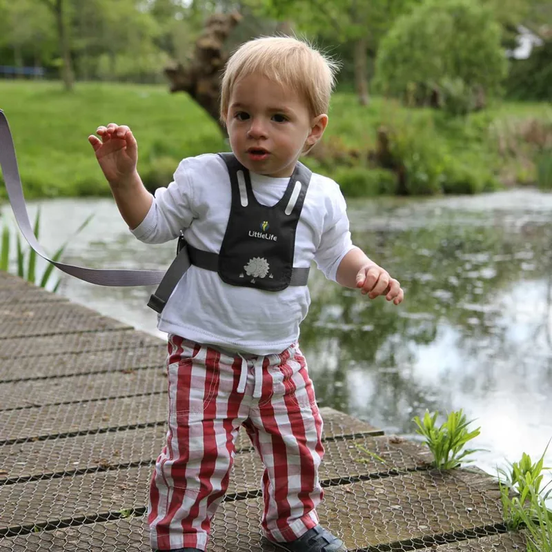 Littlelife Toddler Reins Grey-2