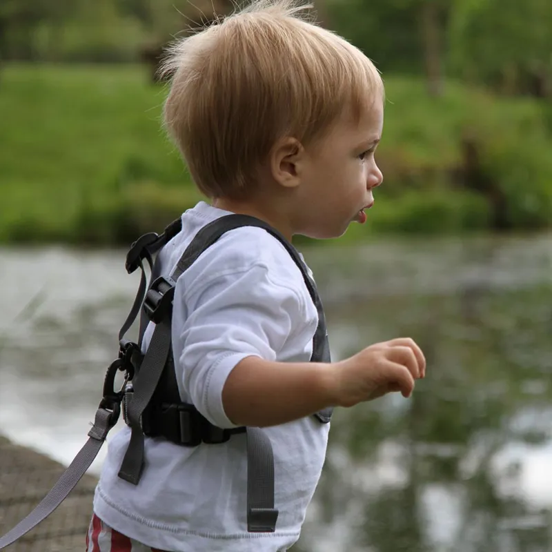 Littlelife Toddler Reins Grey-3