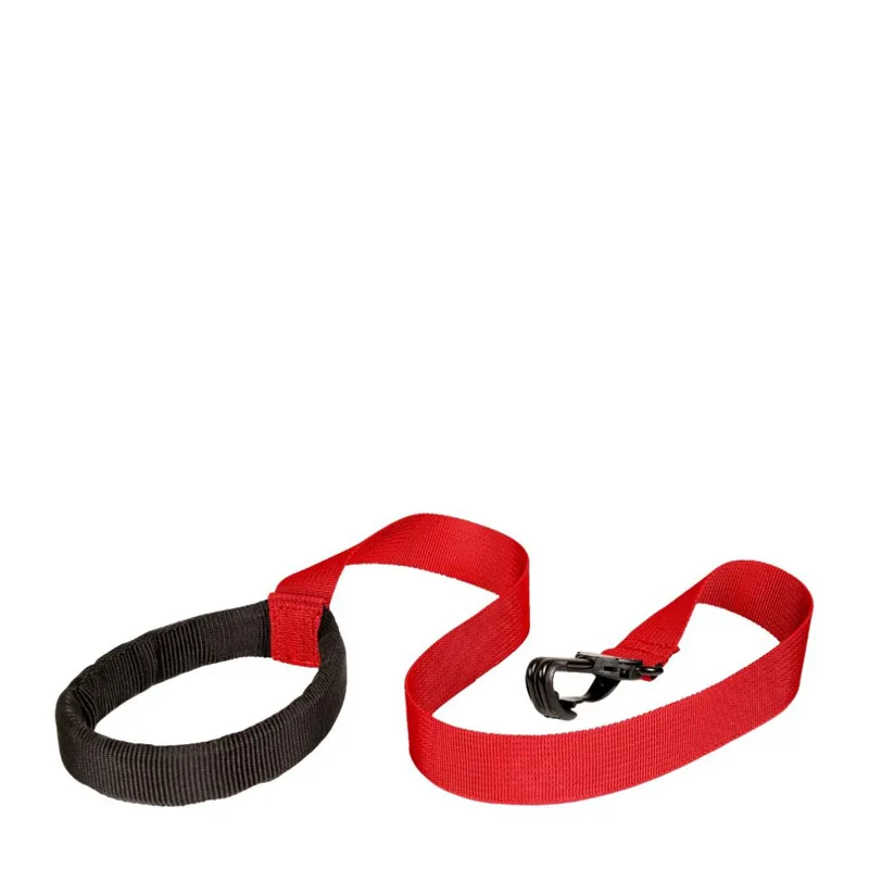 Littlelife Backpack with Rein 2L Dragon-5