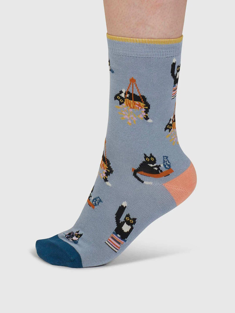 Though Sasha Cat Organic Cotton 4 Pack Sock Box Womens in Multi-8