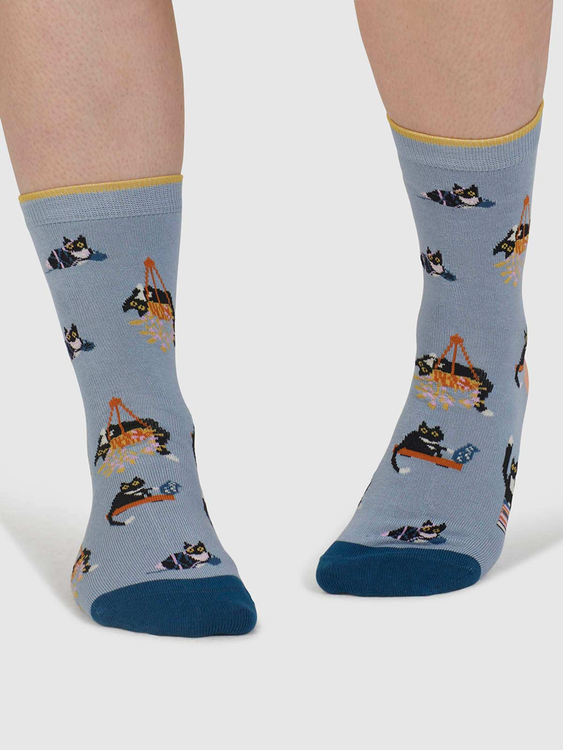 Though Sasha Cat Organic Cotton 4 Pack Sock Box Womens in Multi-7