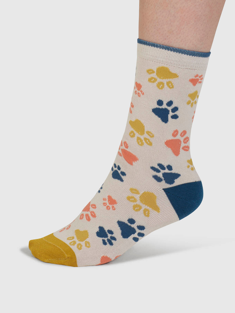 Though Sasha Cat Organic Cotton 4 Pack Sock Box Womens in Multi-2