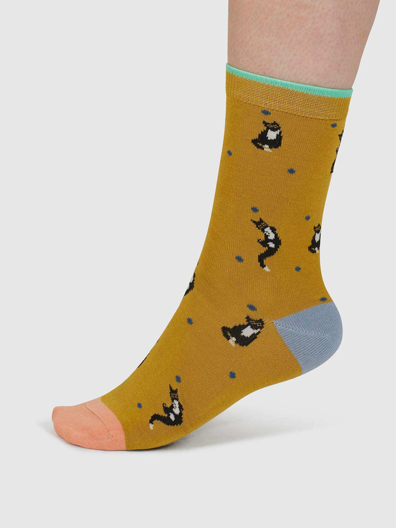 Though Sasha Cat Organic Cotton 4 Pack Sock Box Womens in Multi-3