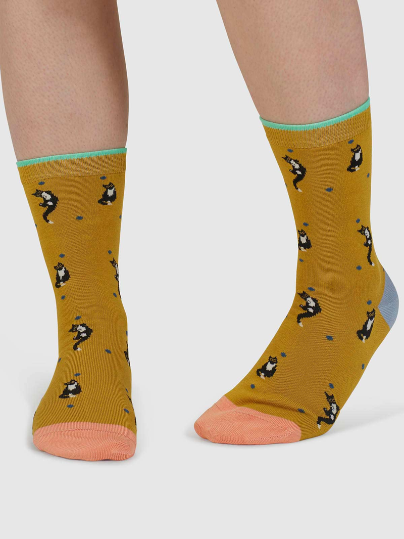 Though Sasha Cat Organic Cotton 4 Pack Sock Box Womens in Multi-4