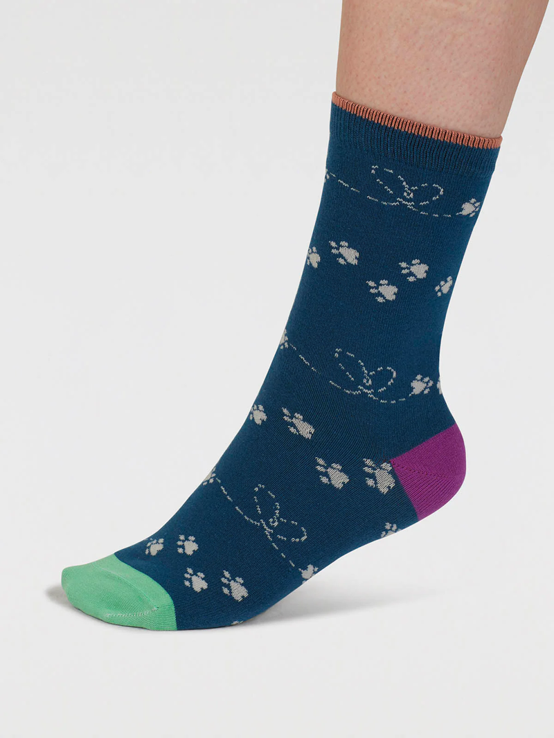 Though Sasha Cat Organic Cotton 4 Pack Sock Box Womens in Multi-5
