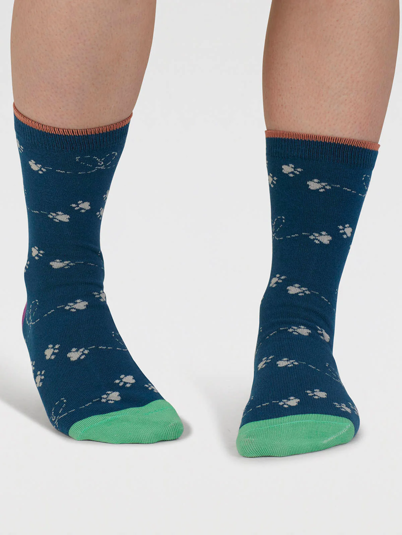 Though Sasha Cat Organic Cotton 4 Pack Sock Box Womens in Multi-6