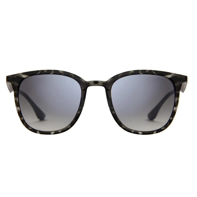 Sinner Cowell Sunglasses in Black Toritise-2