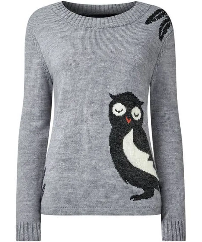 Joe Browns Wonderfully Wise Owl Sweater Womens-1
