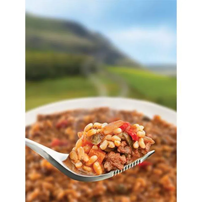 Wayfayrer Korean Style Beef and rice