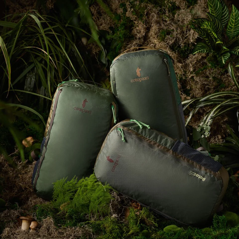 Cotopaxi Batac 16L Backpack in Del Dia Earth-2