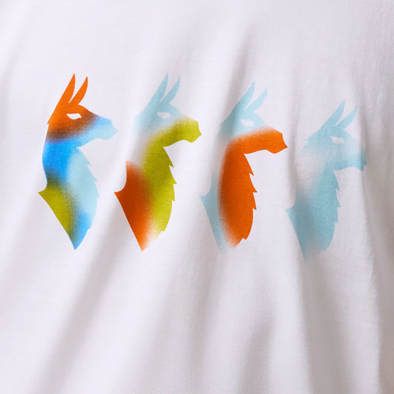 Cotopaxi Cuatro Bitmap T-Shirt Mens in White-4