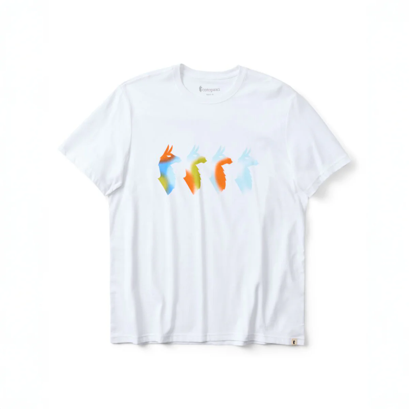 Cotopaxi Cuatro Bitmap T-Shirt Mens in White-1