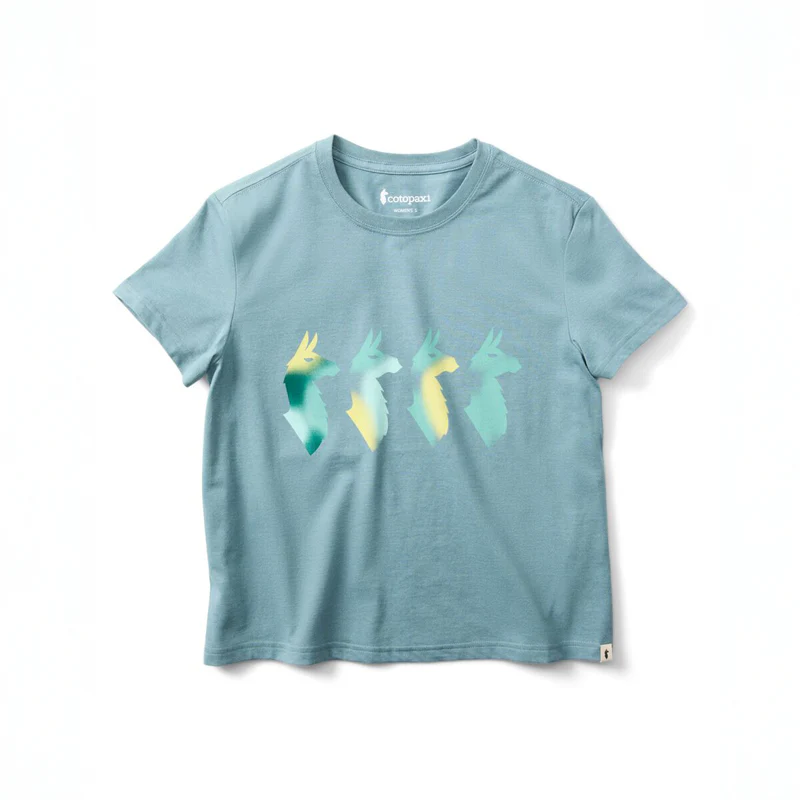 Cotopaxi Cuatro Bitmap T-Shirt Womens in Everglade-3