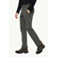 Jack Wolfskin Activate XT Pants Mens in Slate 