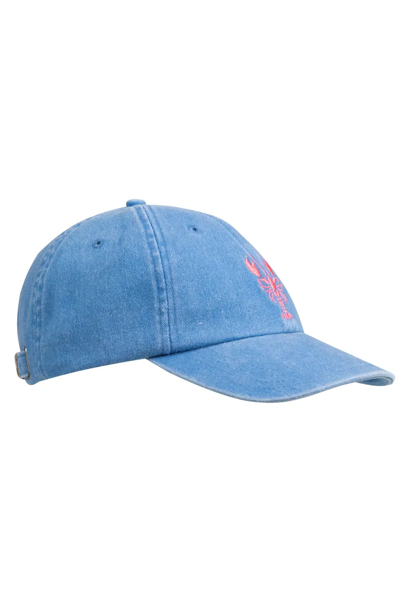 Weirdfish Tabby Embroidered Twill Cap in Faded Blue-1