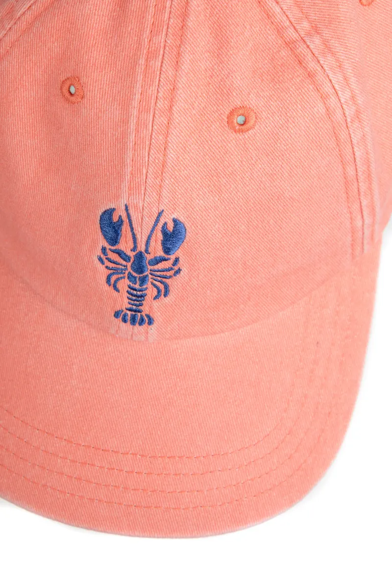 Weirdfish Tabby Embroidered Twill Cap in Flamingo-3