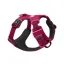 Ruffwear Front Range Harness in Hibiscus Pink
