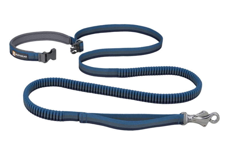 Ruffwear Roamer Bungee Dog Leash in Orion Blue
