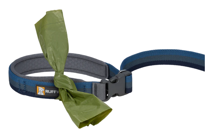 Ruffwear Roamer Bungee Dog Leash in Orion Blue-1