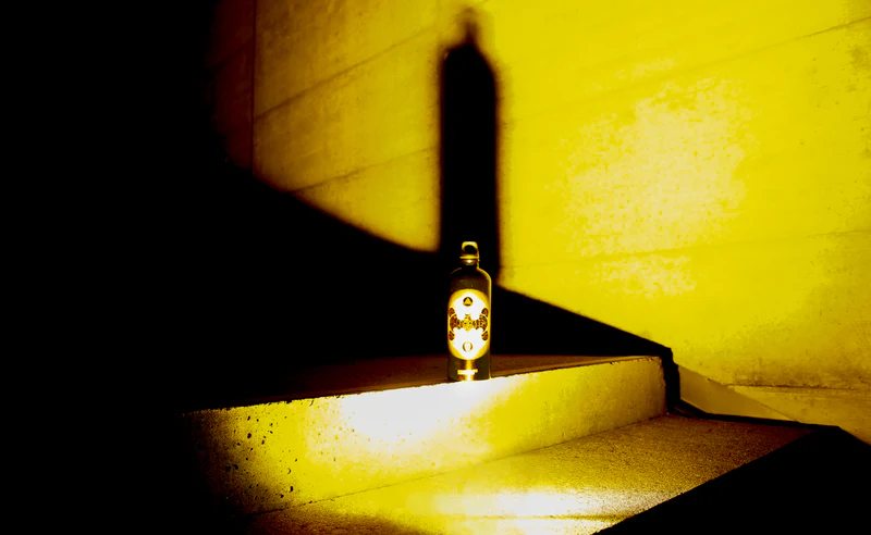 Sigg Traveller 1L in Batman Classic Gold-4