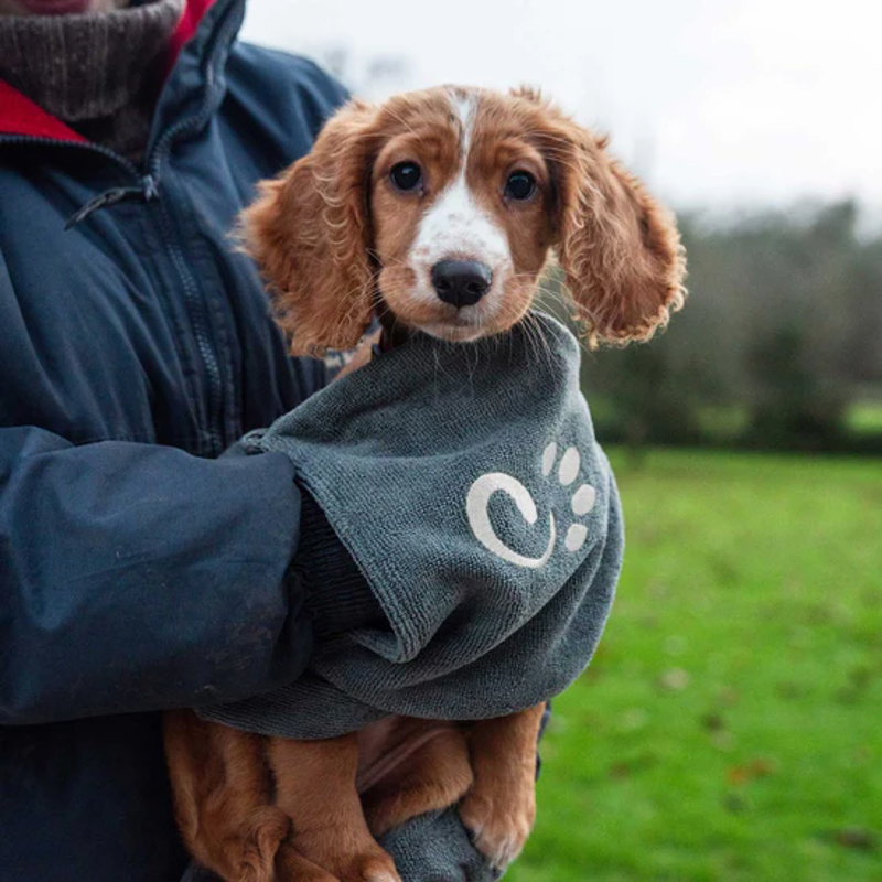 Mountain Paws Dog Towel-1