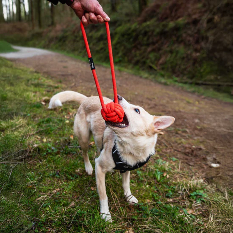 Mountain Paws Ball Rope Toy in Orange-1