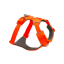 Ruffwear Front Range Harness in Blaze Orange