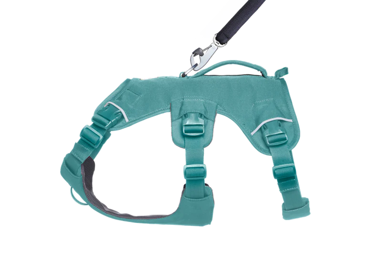 Ruffwear Web Master Harness in River Rock Green-4