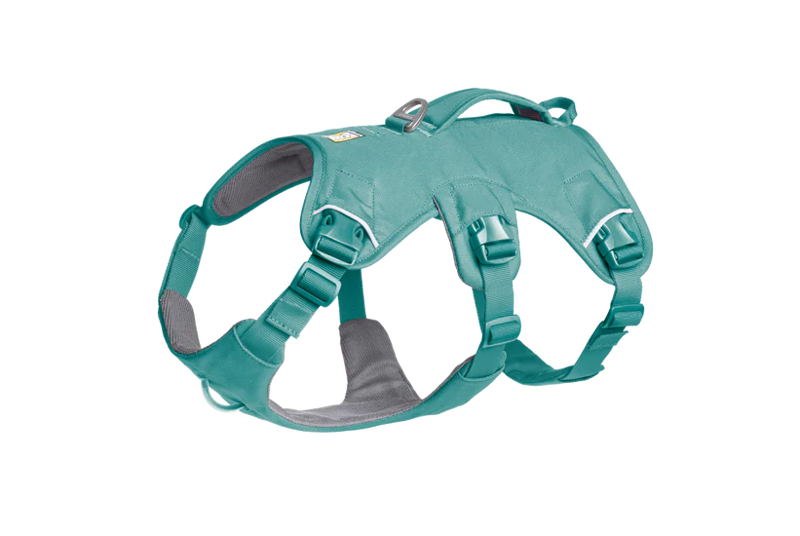 Ruffwear Web Master Harness in River Rock Green-2