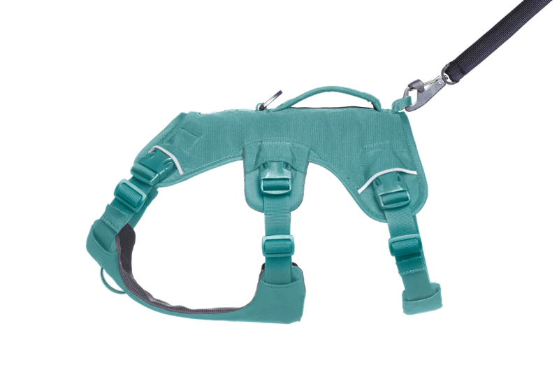 Ruffwear Web Master Harness in River Rock Green-5