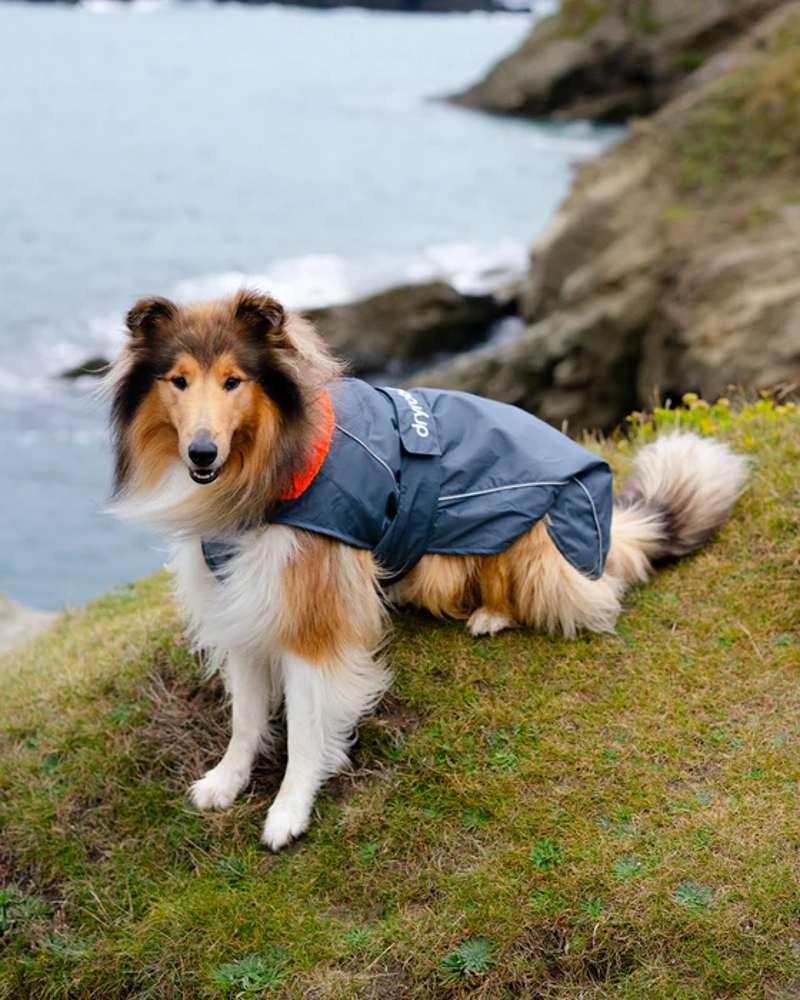Dryrobe Dog Drying Robe in Dark Grey / Orange-2