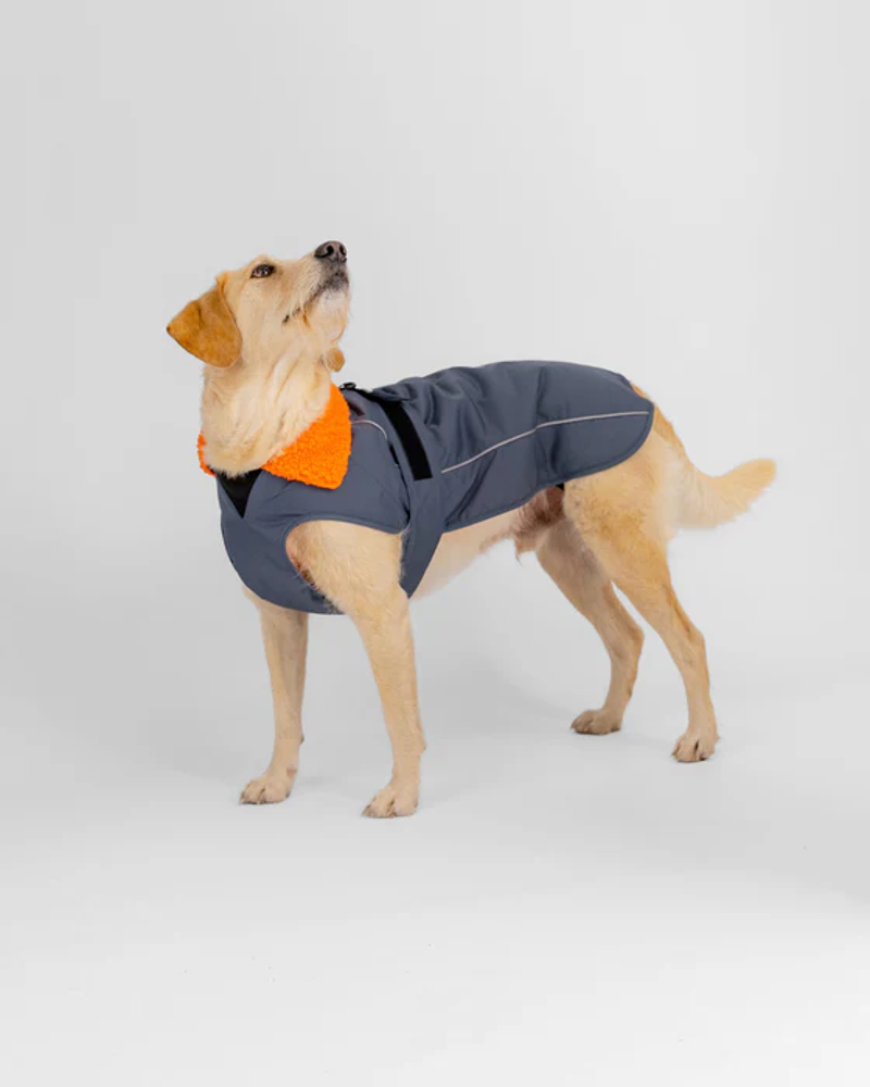 Dryrobe Dog Drying Robe in Dark Grey / Orange