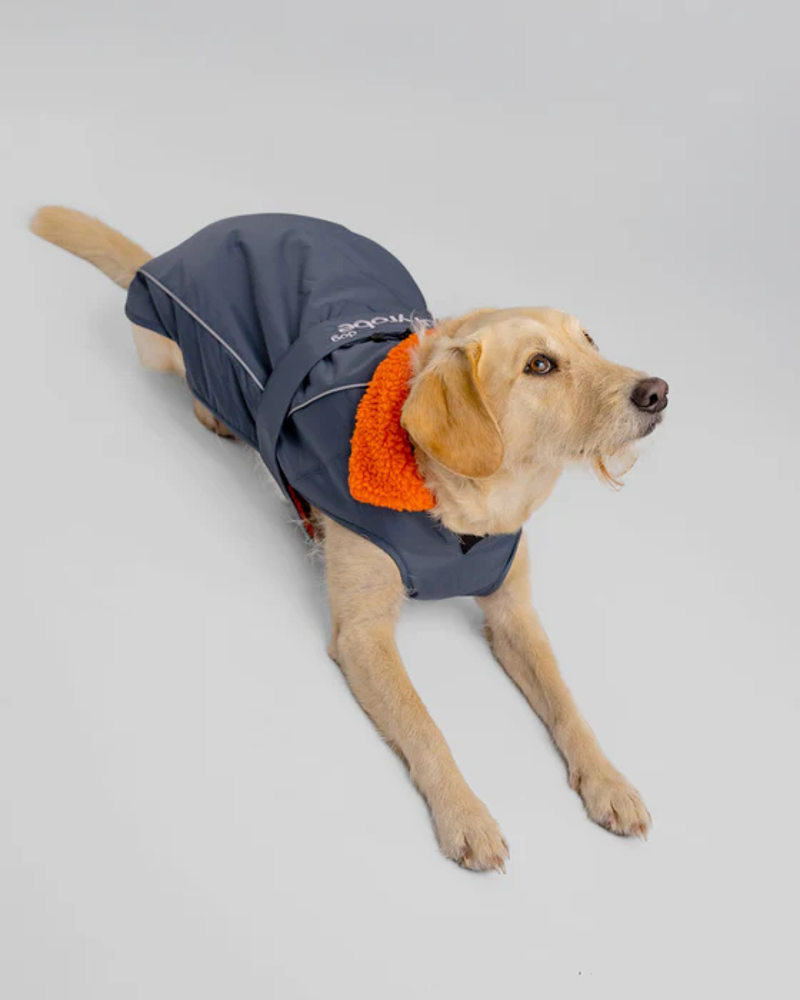 Dryrobe Dog Drying Robe in Dark Grey / Orange-1