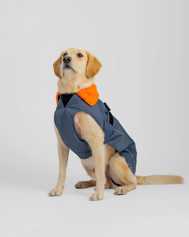 Dryrobe Dog Drying Robe in Dark Grey / Orange-3