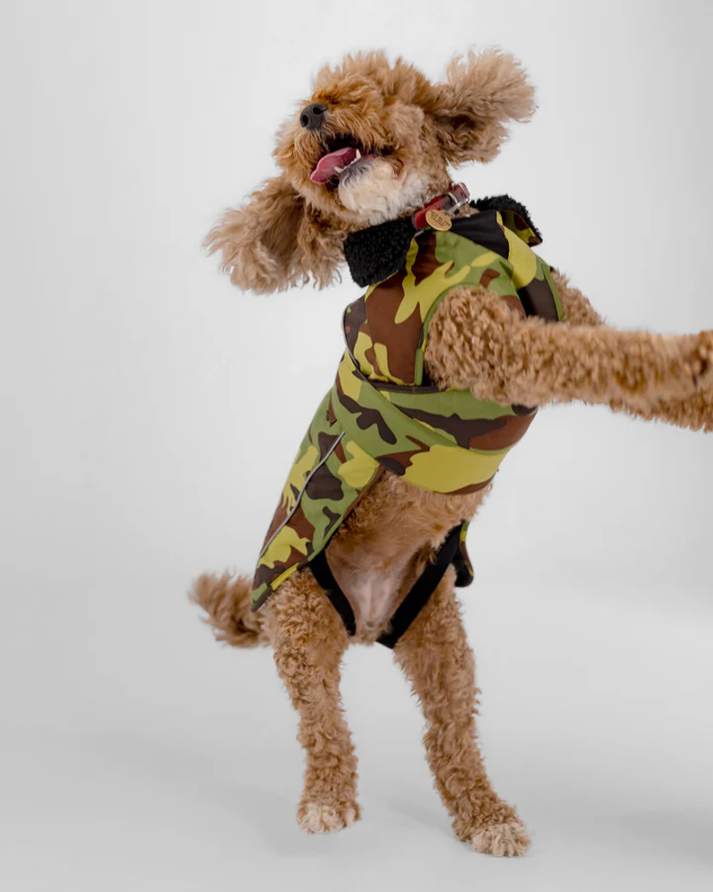 Dryrobe Dog Drying Robe V3 in Green Camo/Black-1