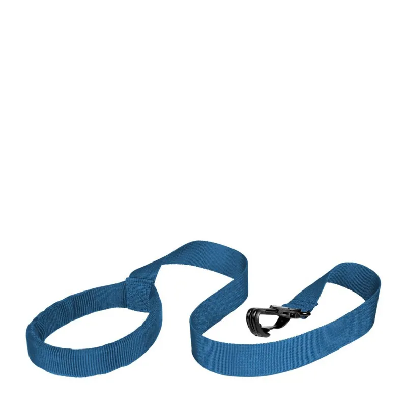 Littlelife Toddler Reins Blue Dino-2