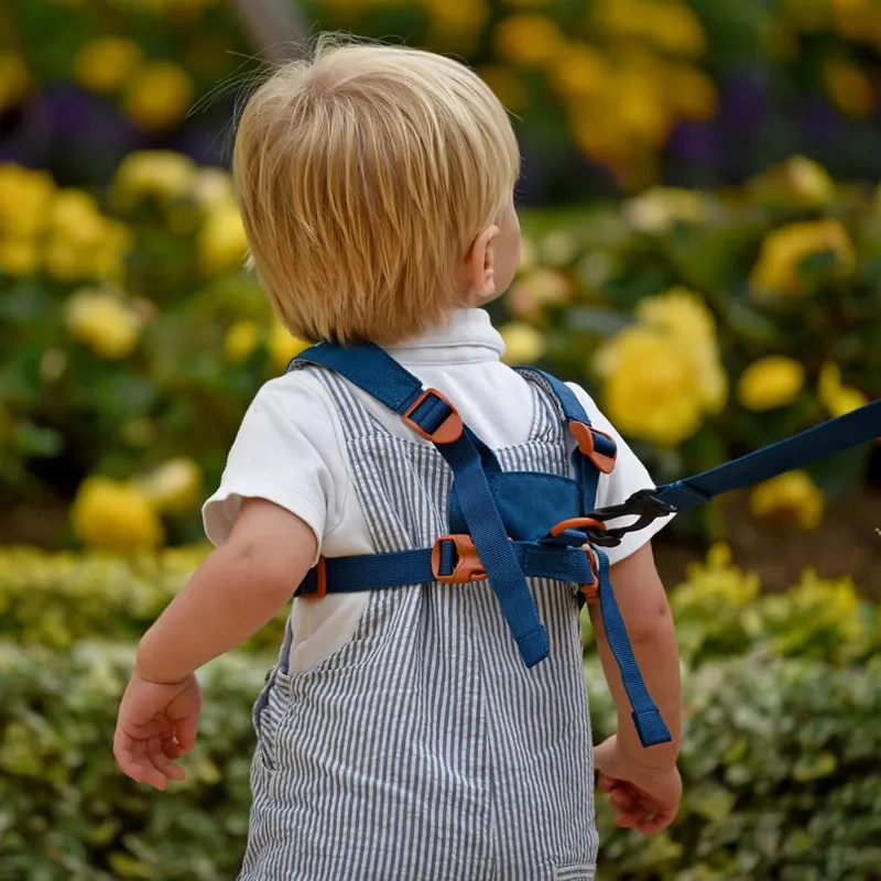 Littlelife Toddler Reins Blue Dino-4