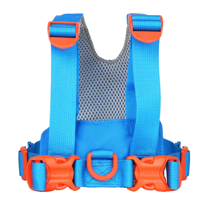 Littlelife Toddler Reins in Blue Triceratops-3