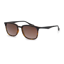 Bloc Monaco FFP50 Polarised Sunglasses in Tortise shell