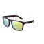 Sinner Thunder Sunglasses in Brown