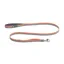 Ruffwear Front Range Leash in Spring Fade