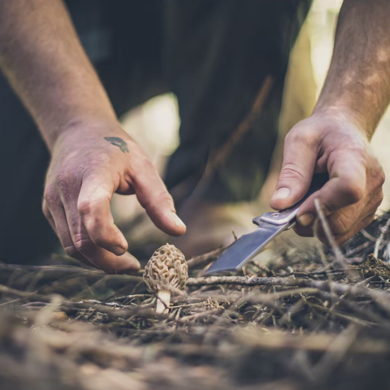 Gerber Asada Folding Knife in Onyx-4