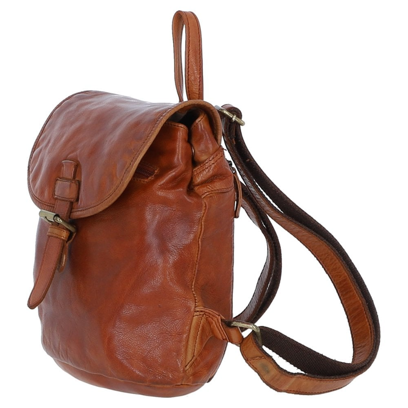Ashwood Leather Backpack D-97 in Tan-1
