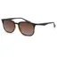 Bloc Monaco Sunglasses in Tortoise shell