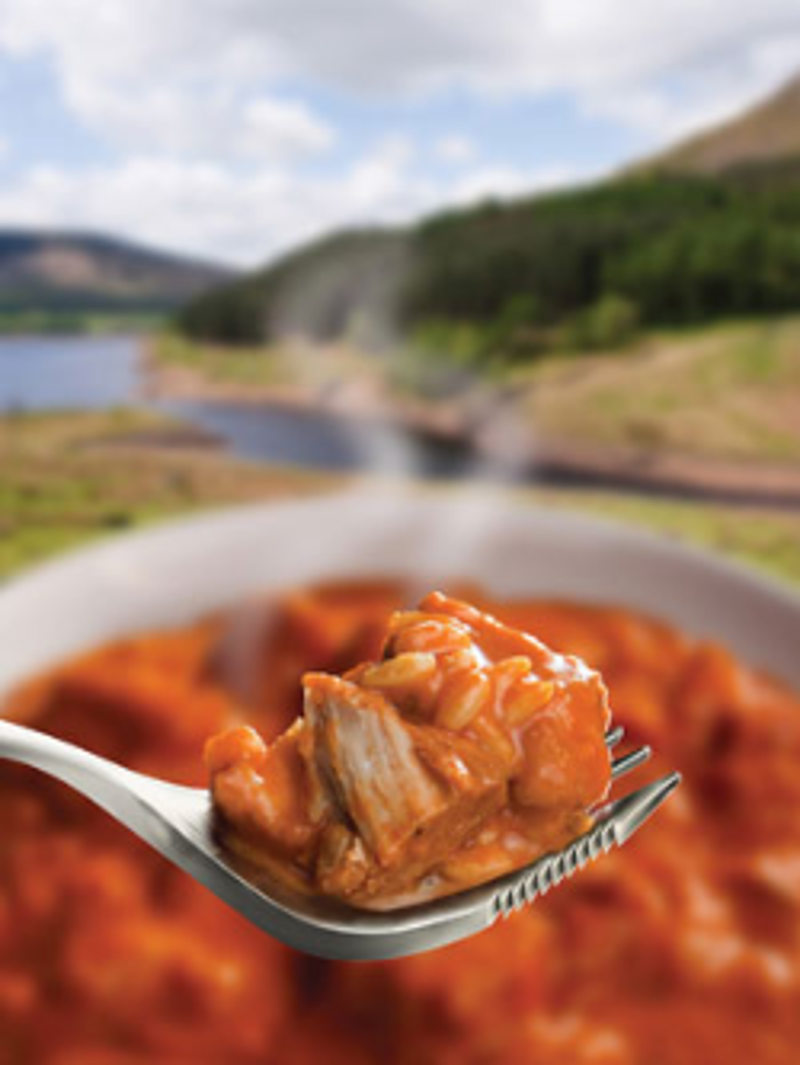 Wayfayrer Chicken Tikka and Rice