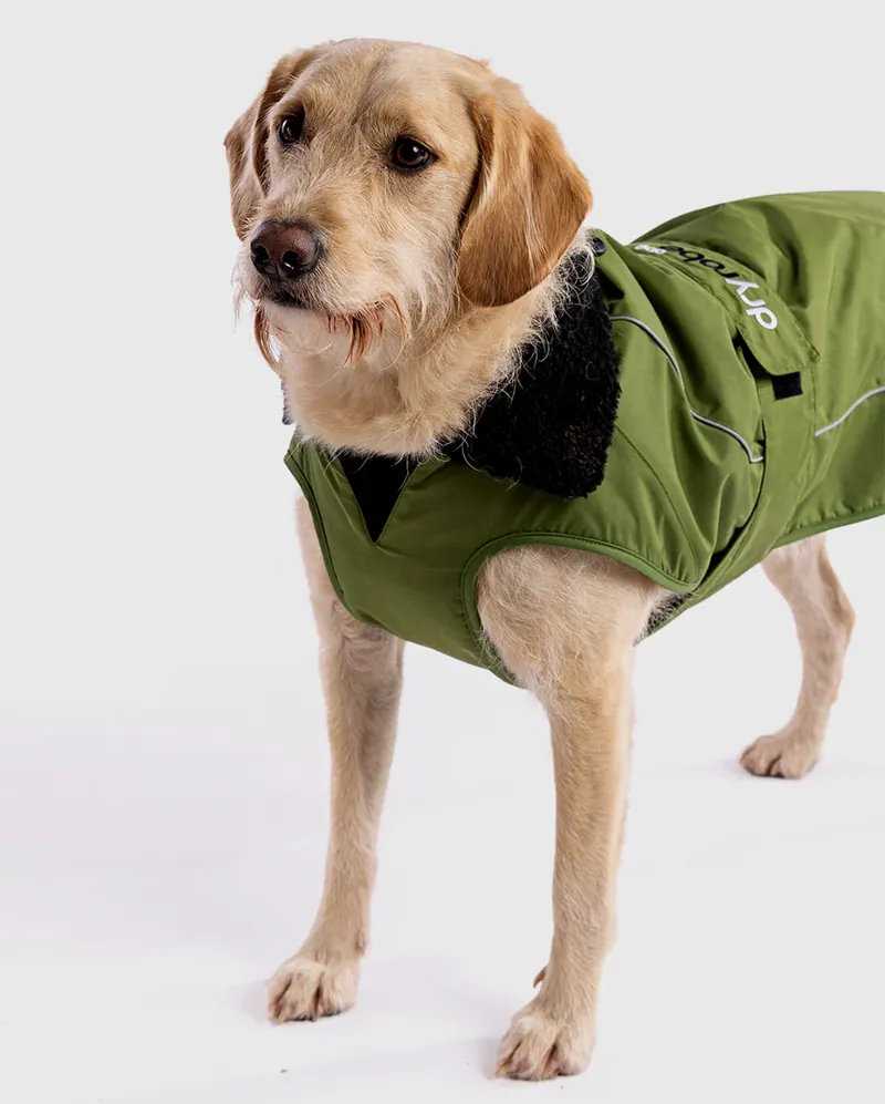Dryrobe Dog V3 in  Forest Green Black