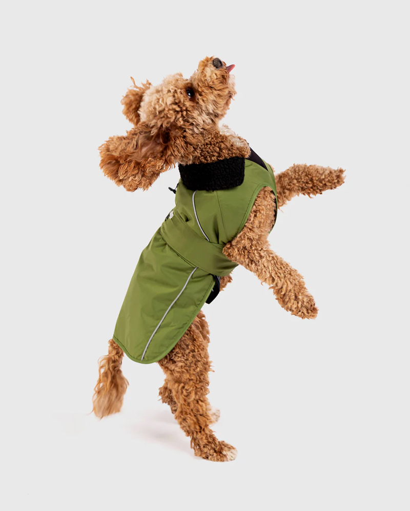 Dryrobe Dog V3 in  Forest Green Black-1